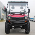 EFI 200CC UTV with EPA for Adults